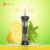 Lemon Mint